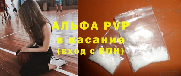 PSILOCYBIN Инсар