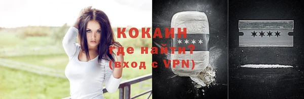 твердый Алексеевка